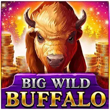 Play Big Wild Buffalo Kachingo casino